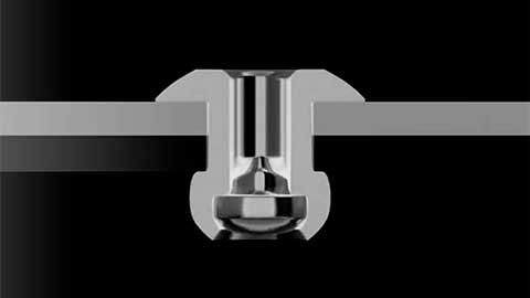 Standard Blind Rivet